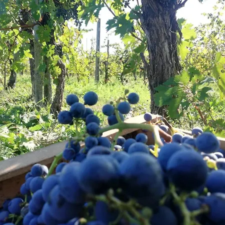 Casa Loppia Prázdninový dům